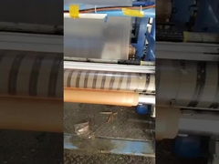 অ্যান্টিব্যাকটেরিয়াল পাউডার সহ পিভিএ জল দ্রবণীয় ফিল্ম